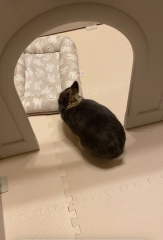 お姫さまみたい | #2174749