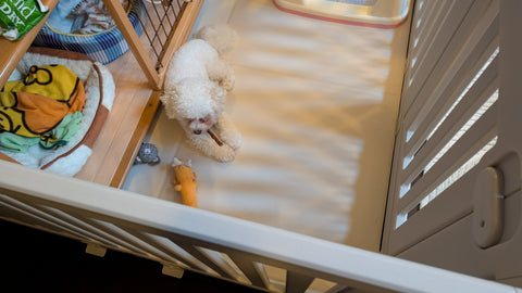 ぴったり | #2335476