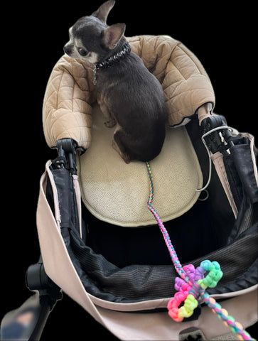 暑さ対策に | #2398750