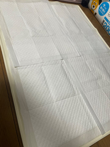 しっかりしてます | #2479291