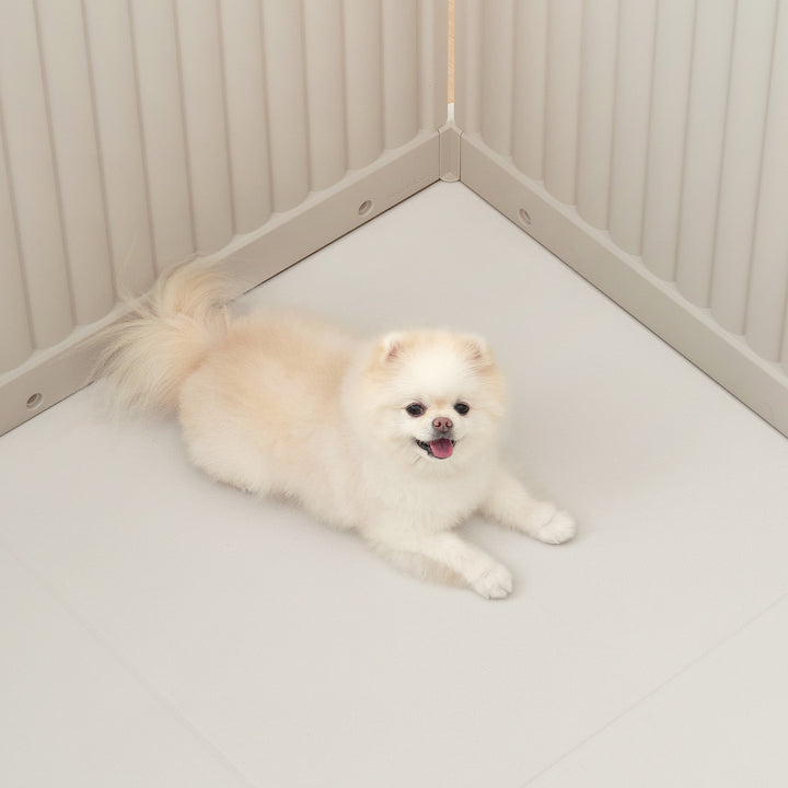 拡張できるペットルーム 専用マット【シングル 65×65×0.4cm】 EXPANDABLE PETROOM MAT | Takemehom（テイクミーホーム）