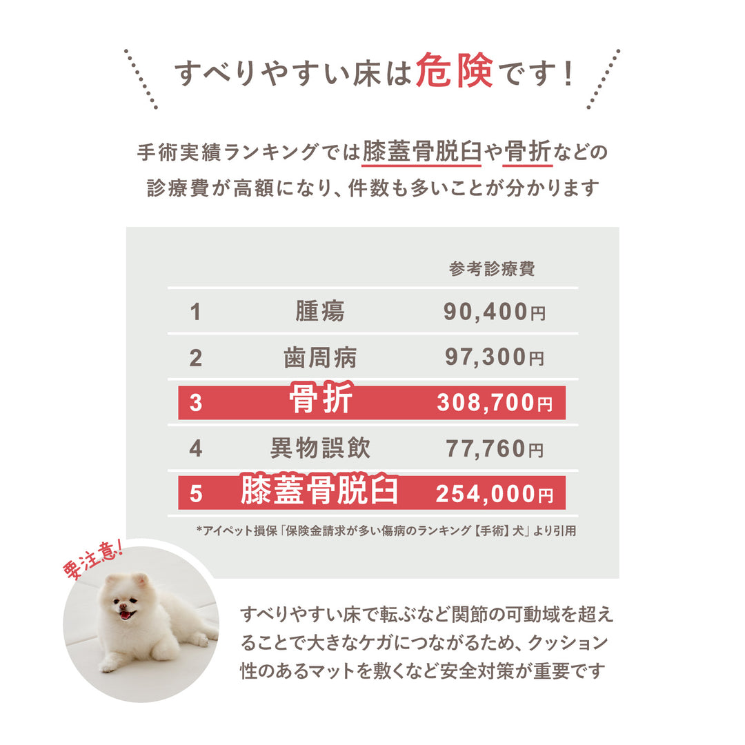 拡張できるペットルーム 専用マット【ロング 195×130×0.4cm】 EXPANDABLE PETROOM MAT | Takemehom（テイクミーホーム）