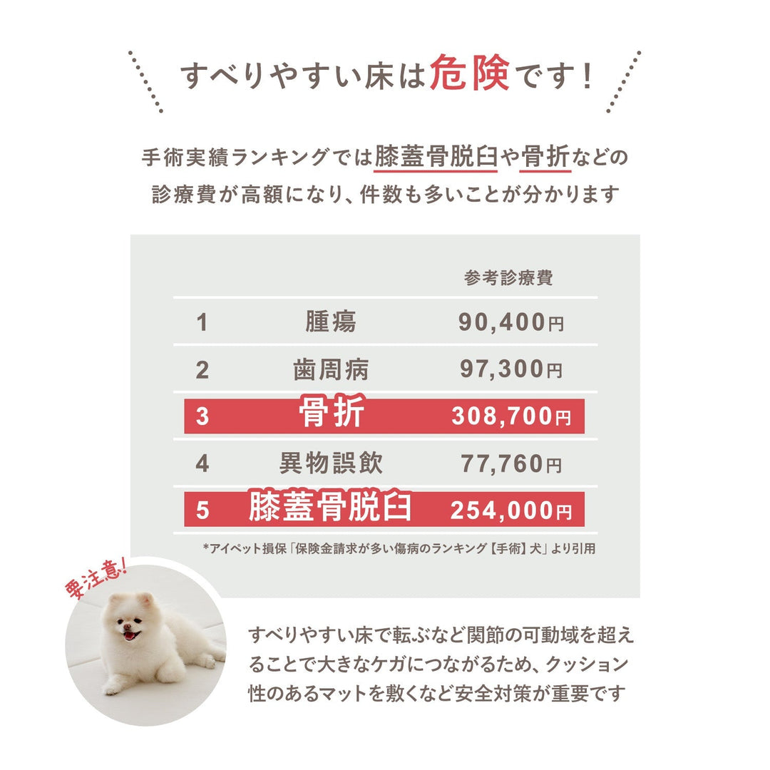 拡張できるペットルーム 専用マット【ロング 325×130×0.4cm】 EXPANDABLE PETROOM MAT | Takemehom（テイクミーホーム）