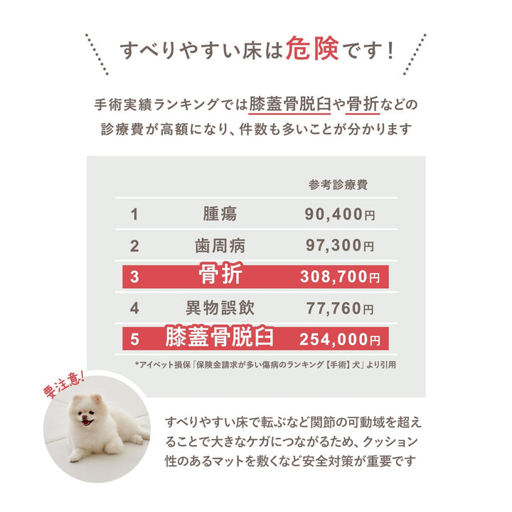 拡張できるペットルーム 専用マット【ロング 325×130×0.4cm】 EXPANDABLE PETROOM MAT | Takemehom（テイクミーホーム）