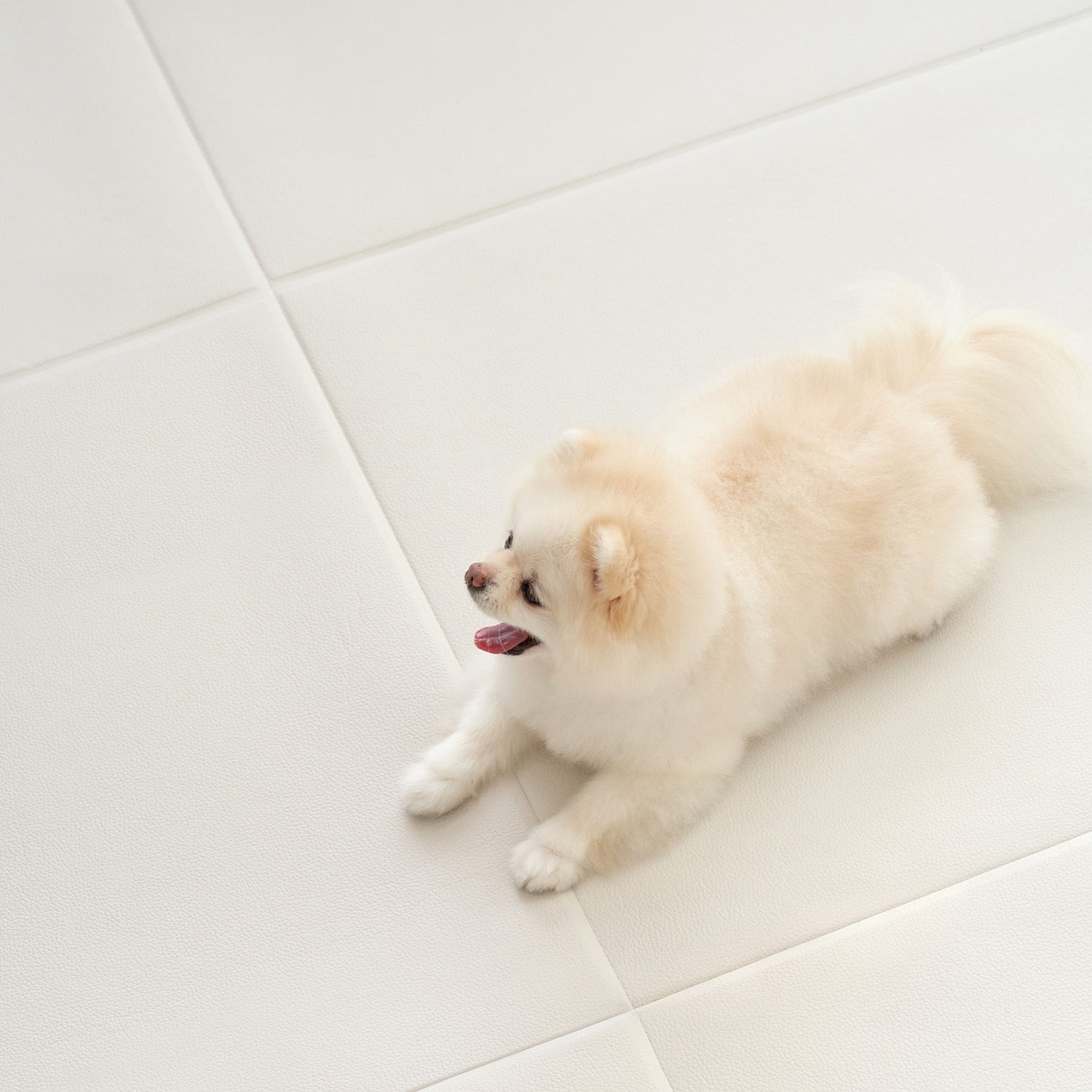 拡張できるペットルーム 専用マット【ロング 195×130×0.4cm