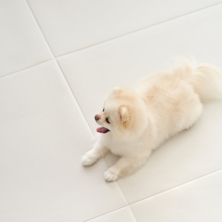 拡張できるペットルーム 専用マット【ロング 195×130×0.4cm】 EXPANDABLE PETROOM MAT | Takemehom（テイクミーホーム）