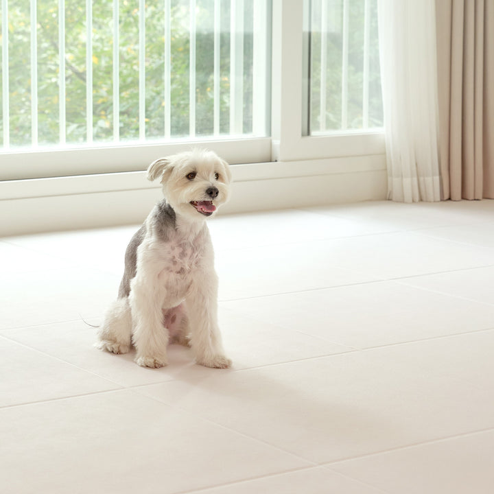 拡張できるペットルーム 専用マット【ロング 260×130×0.4cm】 EXPANDABLE PETROOM MAT | Takemehom（テイクミーホーム）