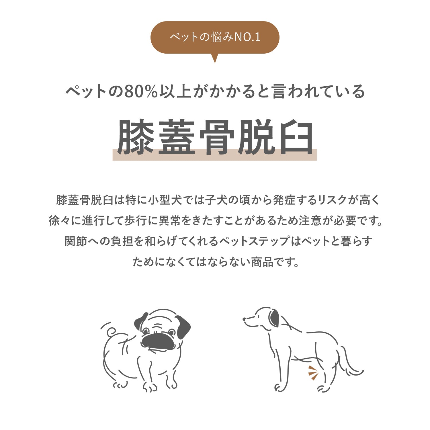 セーフガードペットステップ SAFEGUARD PETSTEP | Takemehom（テイク