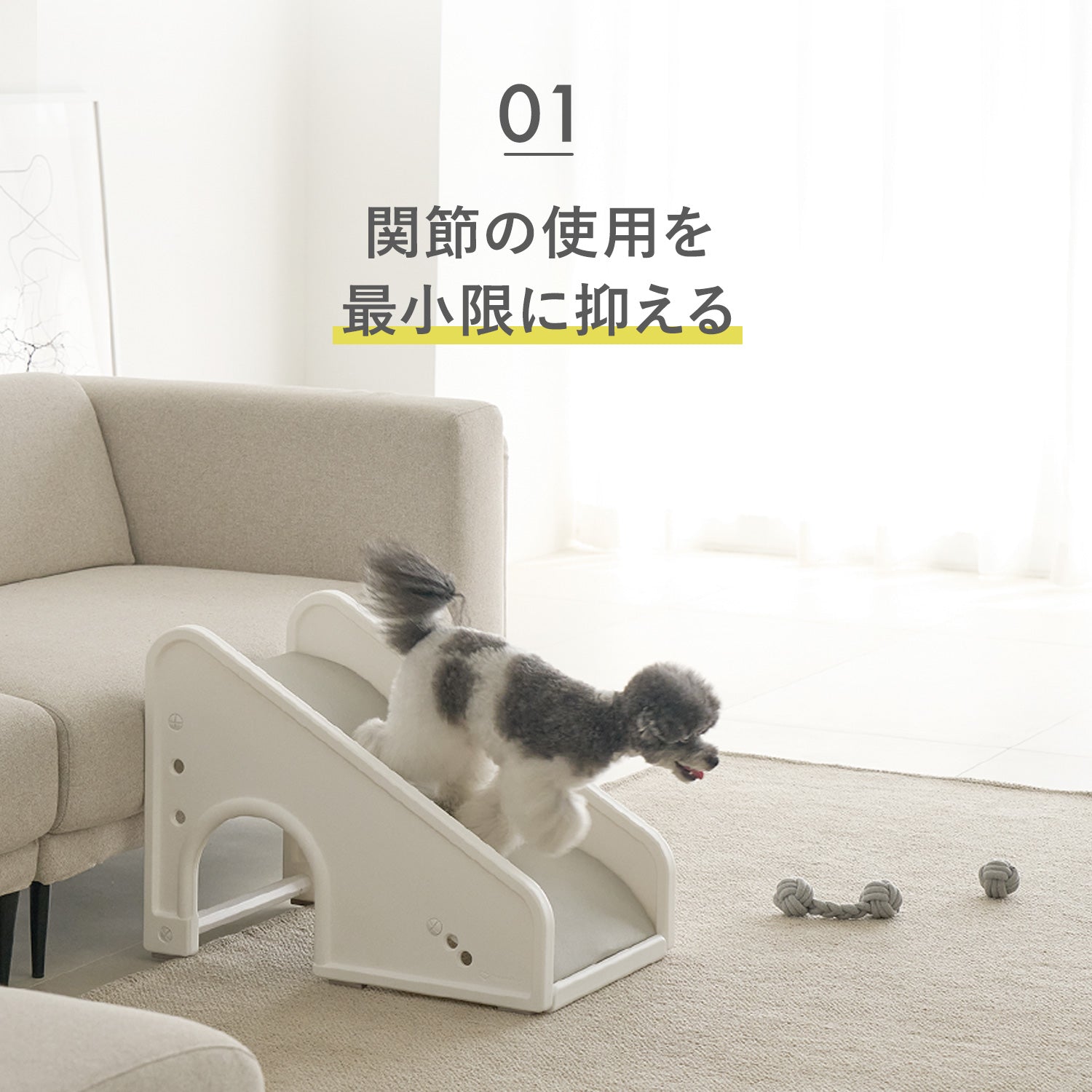 ヒメchanさま専用ページ♡ カントリーハート　2段ステップ　踏み台　肉球 セーフガードペットステップ SAFEGUARD PETSTEP | Takemehom（テイク