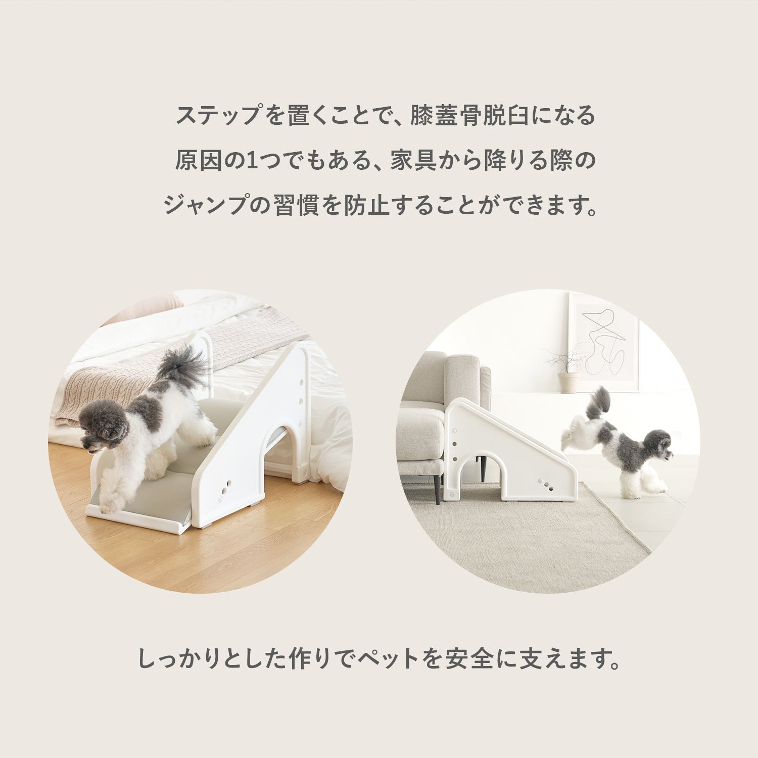 セーフガードペットステップ SAFEGUARD PETSTEP | Takemehom（テイク