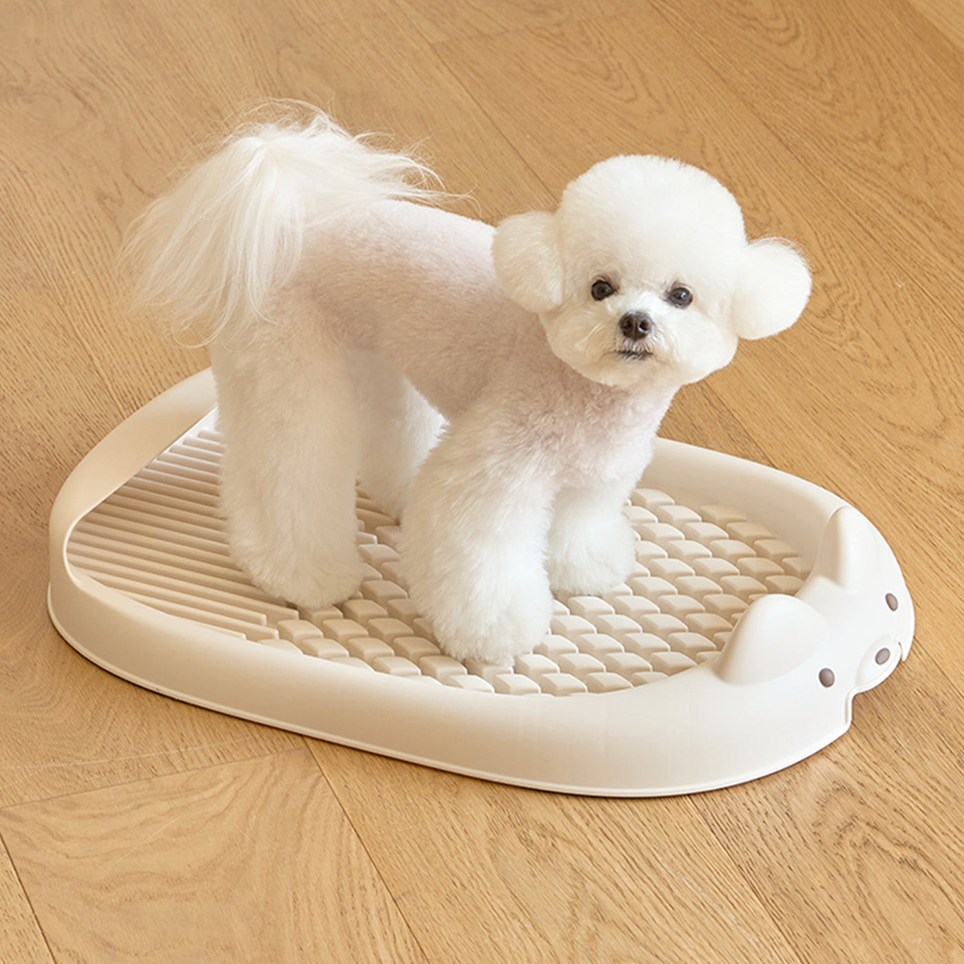 ペット用トイレトレー DANG DANG DOG POTTY TRAY | Takemehom（テイクミーホーム）