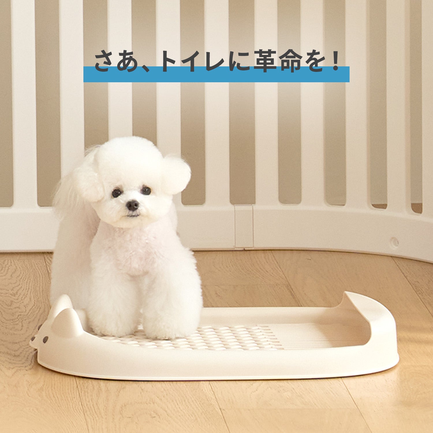 ペット用トイレトレー【ゆったりLサイズ】DANG DANG DOG POTTY TRAY