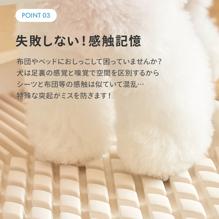 ペット用トイレトレー【ゆったりLサイズ】DANG DANG DOG POTTY TRAY | Takemehom（テイクミーホーム）