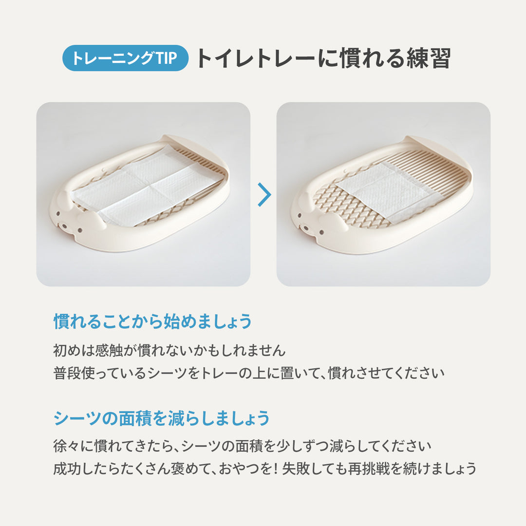ペット用トイレトレー【ゆったりLサイズ】DANG DANG DOG POTTY TRAY | Takemehom（テイクミーホーム）