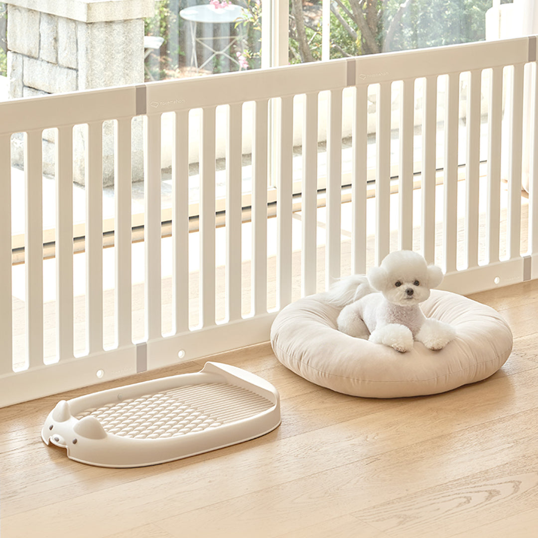 ペット用トイレトレー【ゆったりLサイズ】DANG DANG DOG POTTY TRAY | Takemehom（テイクミーホーム）