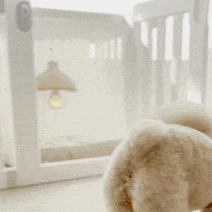 ＼レビュープレゼント中／ ペットルーム専用ルーフ【シングル】【ダブル】 PETROOM ROOF SINGLE | Takemehom（テイクミーホーム）