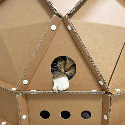 キャットスペース CAT SPACE  | BOXPARTNER（ボックスパートナー）