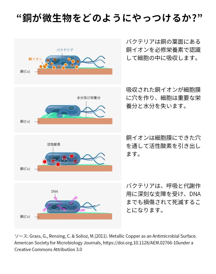 銅（CU）抗菌フィルム A4サイズ（1枚入り）