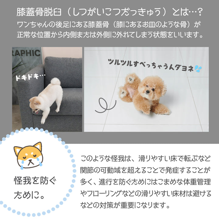 【完売御礼】【選べる4サイズ】防水 抗菌ペット マット Dogzari Flat | ecofoam（エコフォーム）