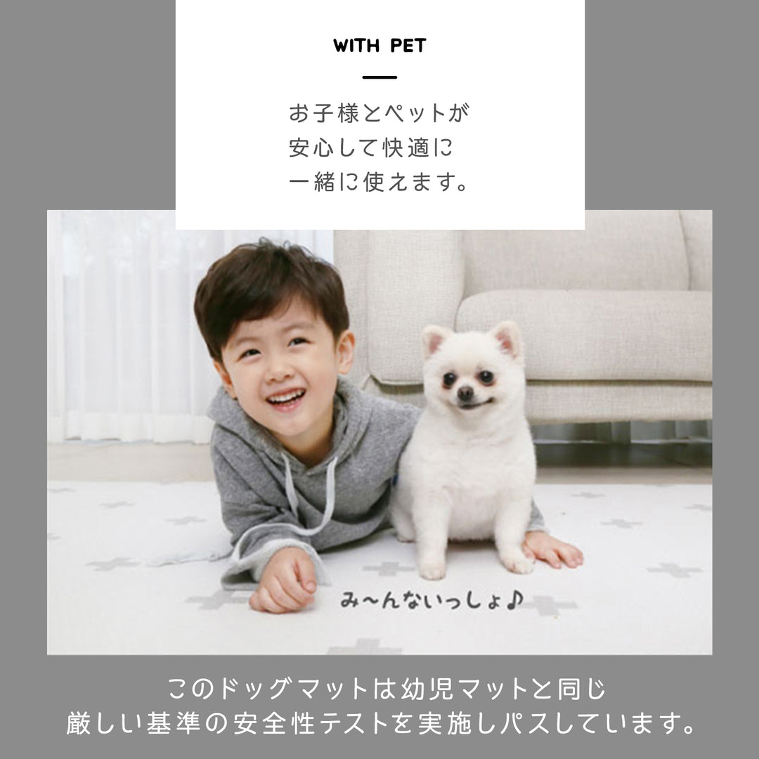【完売御礼】【選べる4サイズ】防水 抗菌ペット マット Dogzari Flat | ecofoam（エコフォーム）