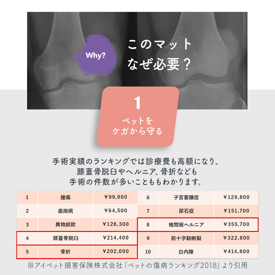 【完売御礼】110×220 防水 抗菌 ペットマット カットできるロールマットタイプ Dogzari Rollmat | ecofoam（エコフォーム）