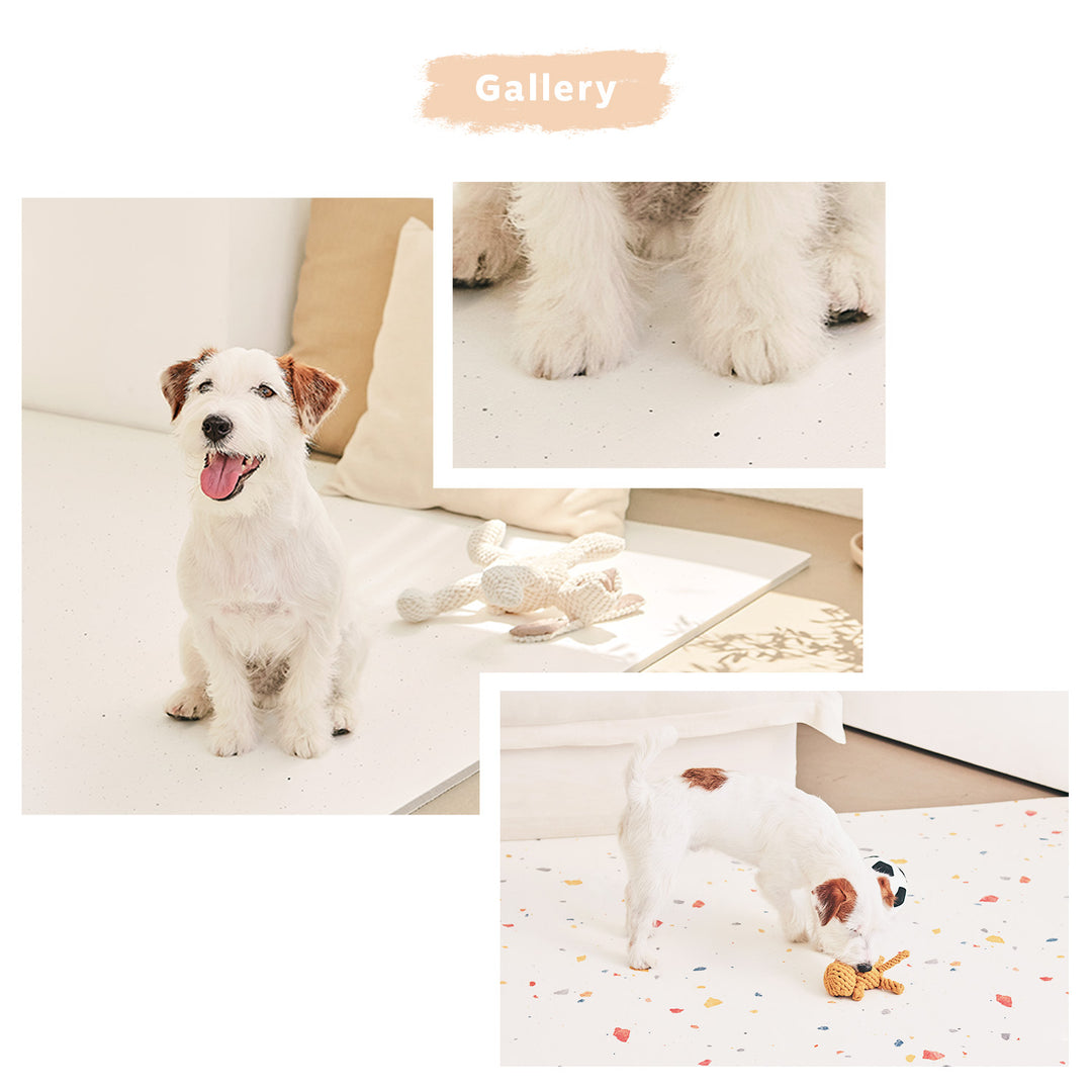 【完売御礼】110×220 防水 抗菌 ペットマット カットできるロールマットタイプ Dogzari Rollmat | ecofoam（エコフォーム）