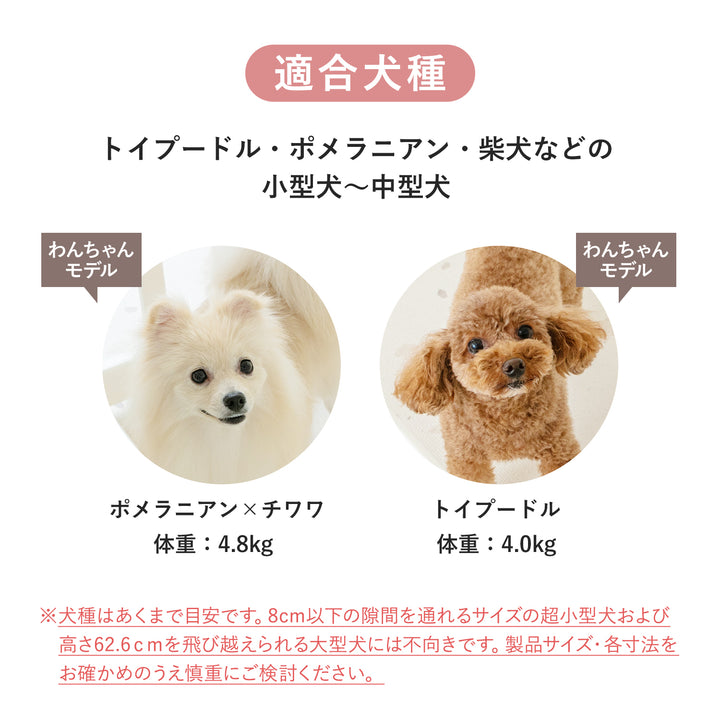 ペットサークル バーチ ドア付き 10枚セット | iFam（アイファム）